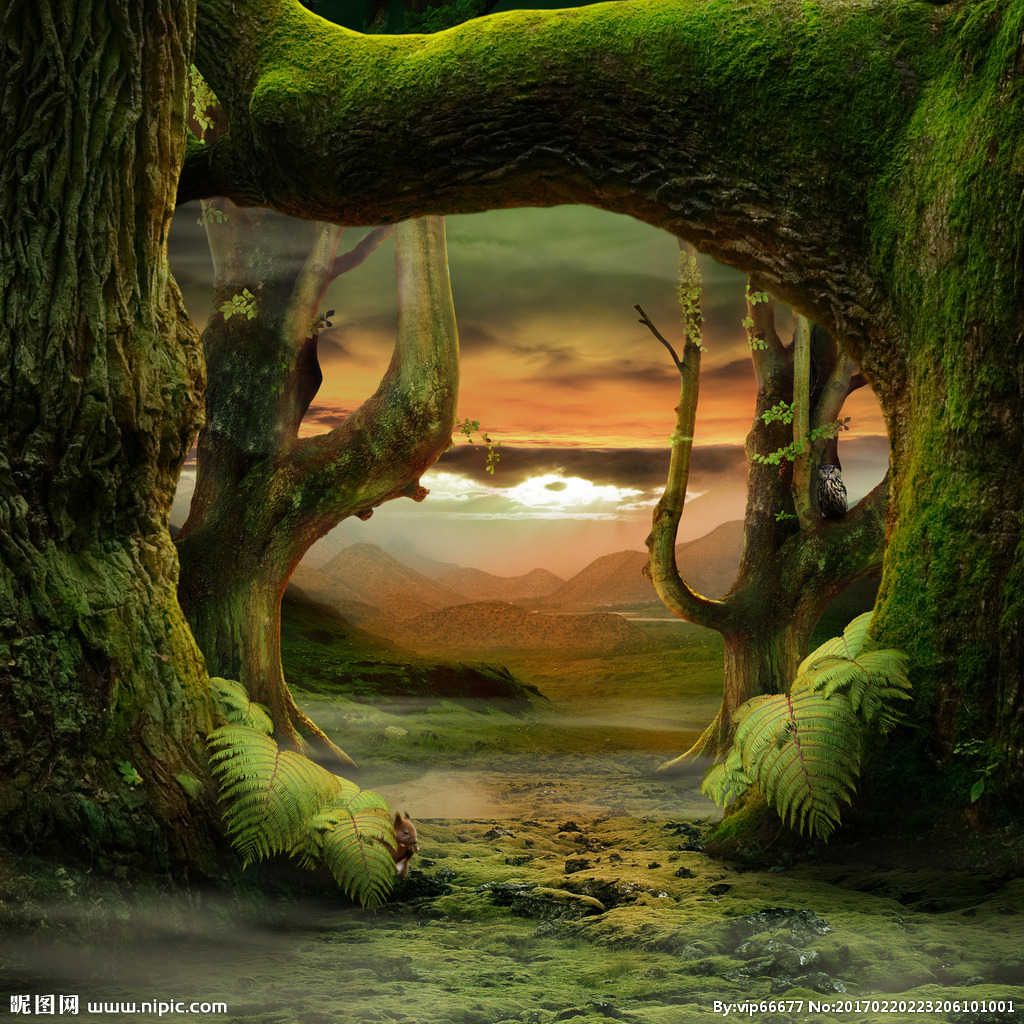 重返梦幻岛_重回梦幻岛白屏_重回梦幻岛