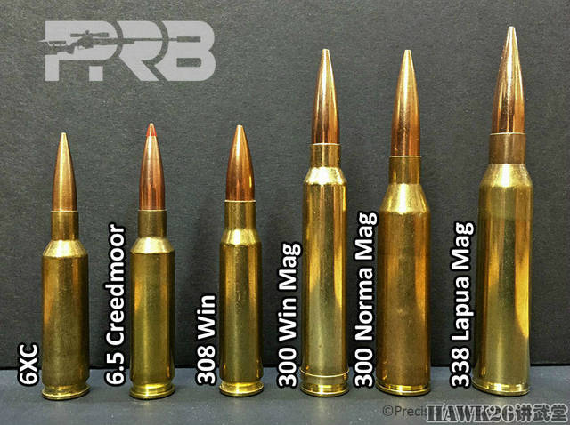 生化危机武器模型_生化危机5武器mod_生化危机武器原型