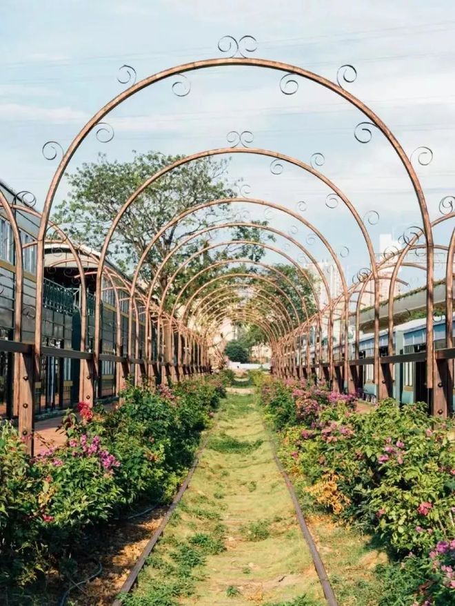 洛克王国艾酥酥厉害吗_洛克王国艾酥酥解析_洛克王国艾酥酥