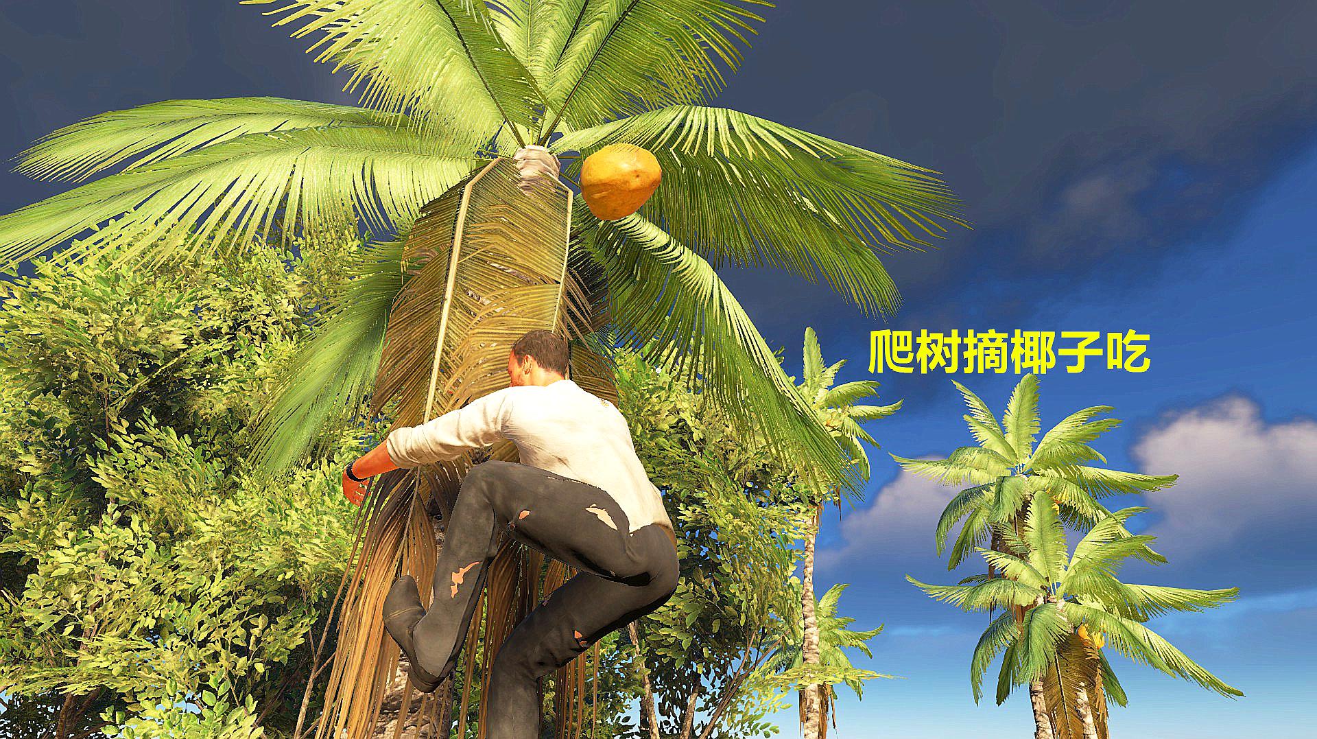 荒岛逃生_荒岛逃生手游_荒岛逃生1