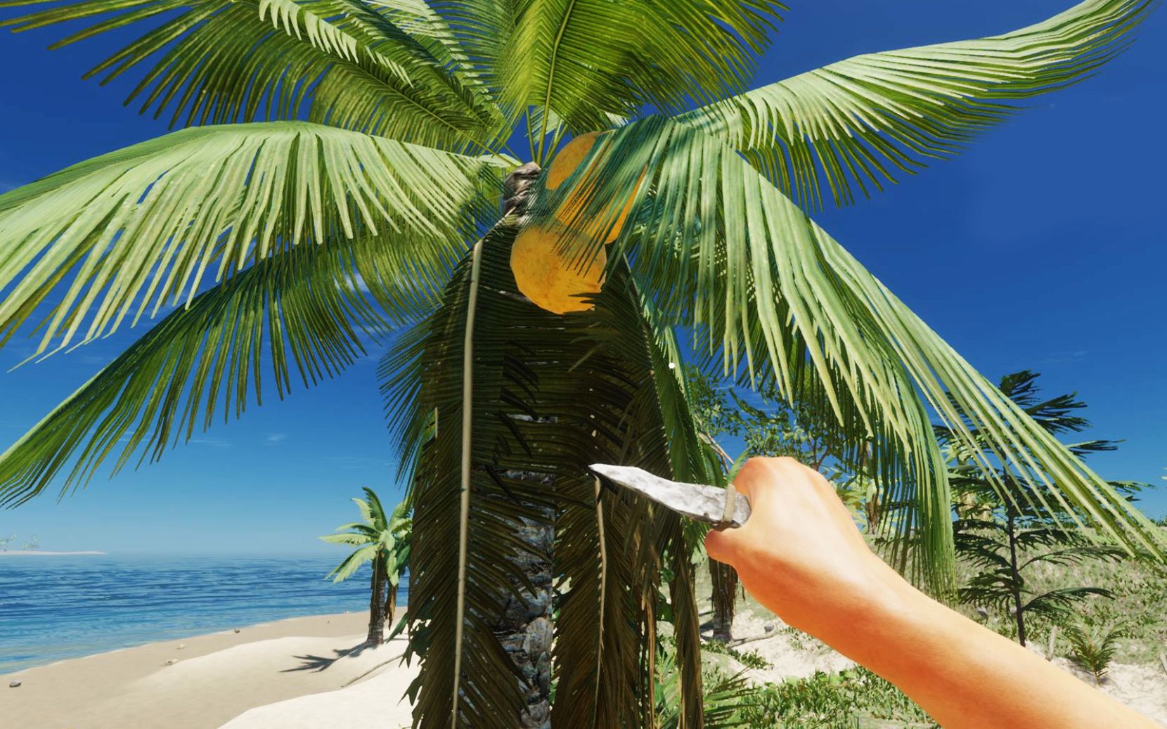 荒岛逃生_荒岛逃生1_荒岛逃生手游