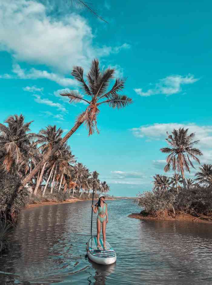 荒岛逃生1_荒岛逃生_荒岛逃生手游