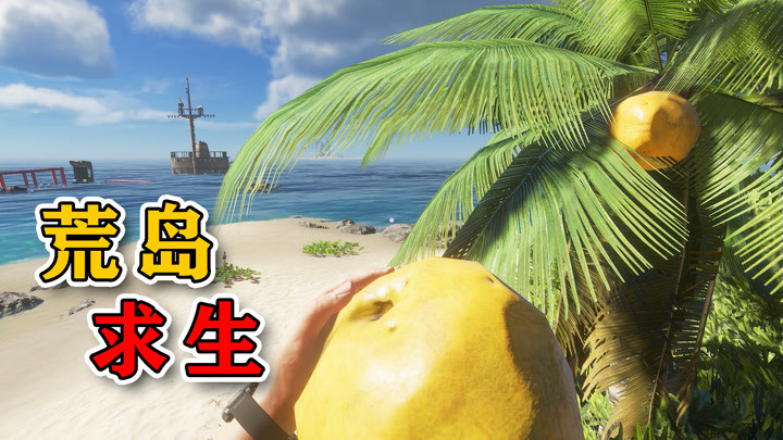 荒岛逃生_荒岛逃生1_荒岛逃生手游