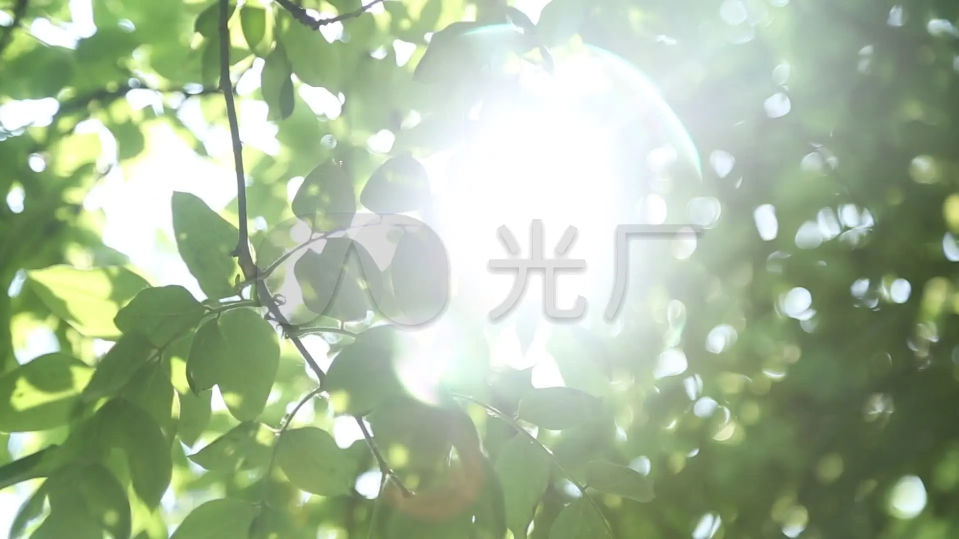 黄色二级_黄色二级_黄色二级