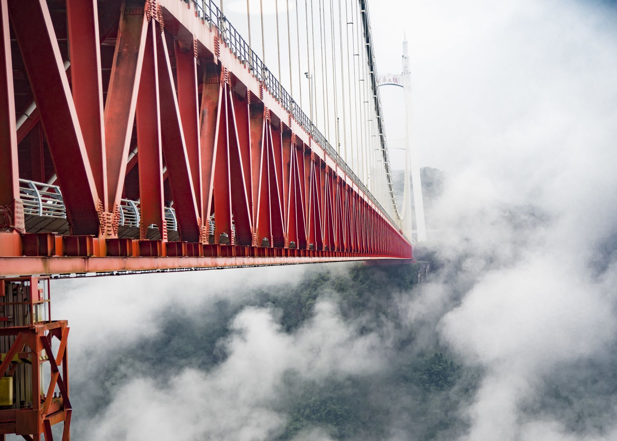 彩云直播改什么地址了_彩云直播_彩云直播间