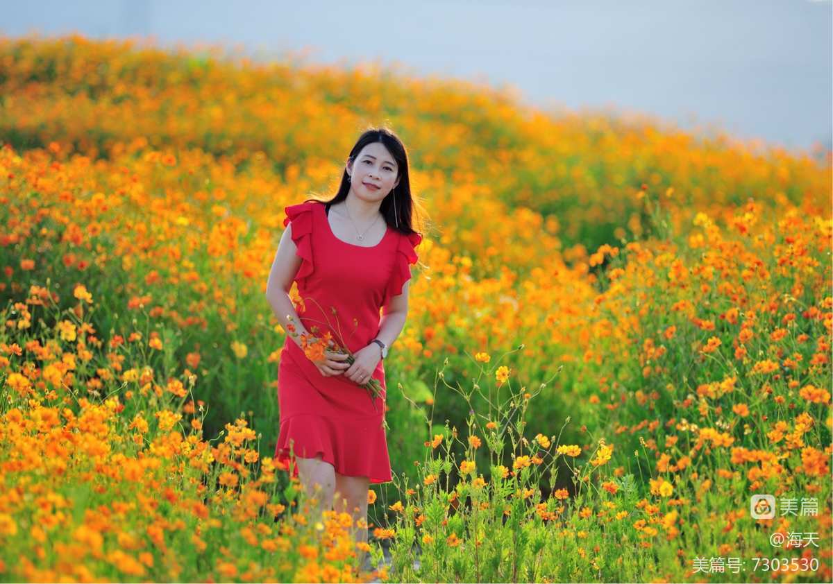 感时花溅泪恨别鸟惊心的意思_感时花溅泪恨别鸟惊心互文_感到花溅泪恨别鸟惊心