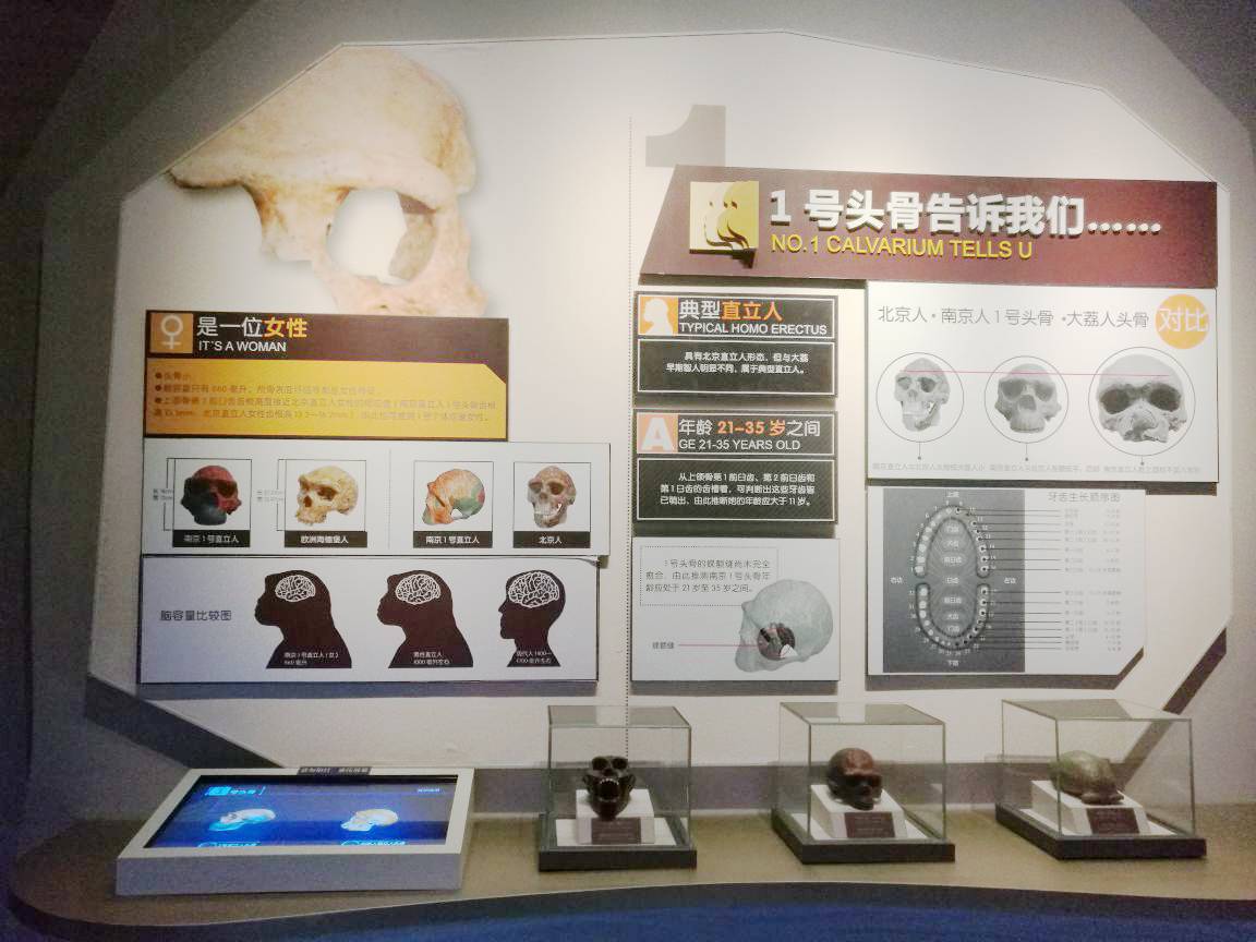 博物馆手游_博物馆奇幻游戏手机版_博物馆闯关游戏