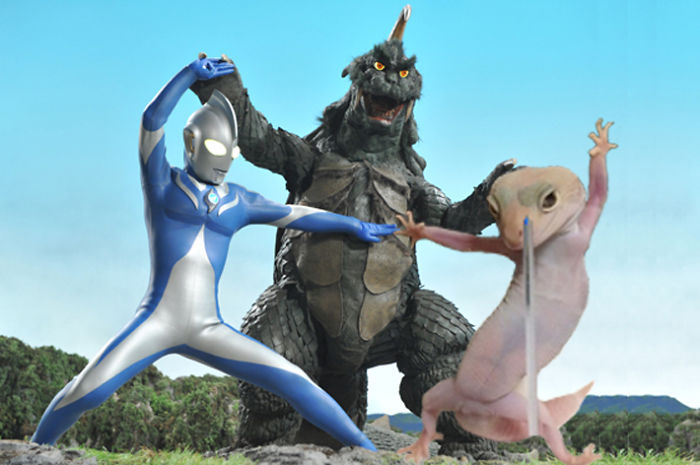 奥特曼空想特摄下载手机版_奥特曼空想特摄中文版下载_奥特曼空想特摄