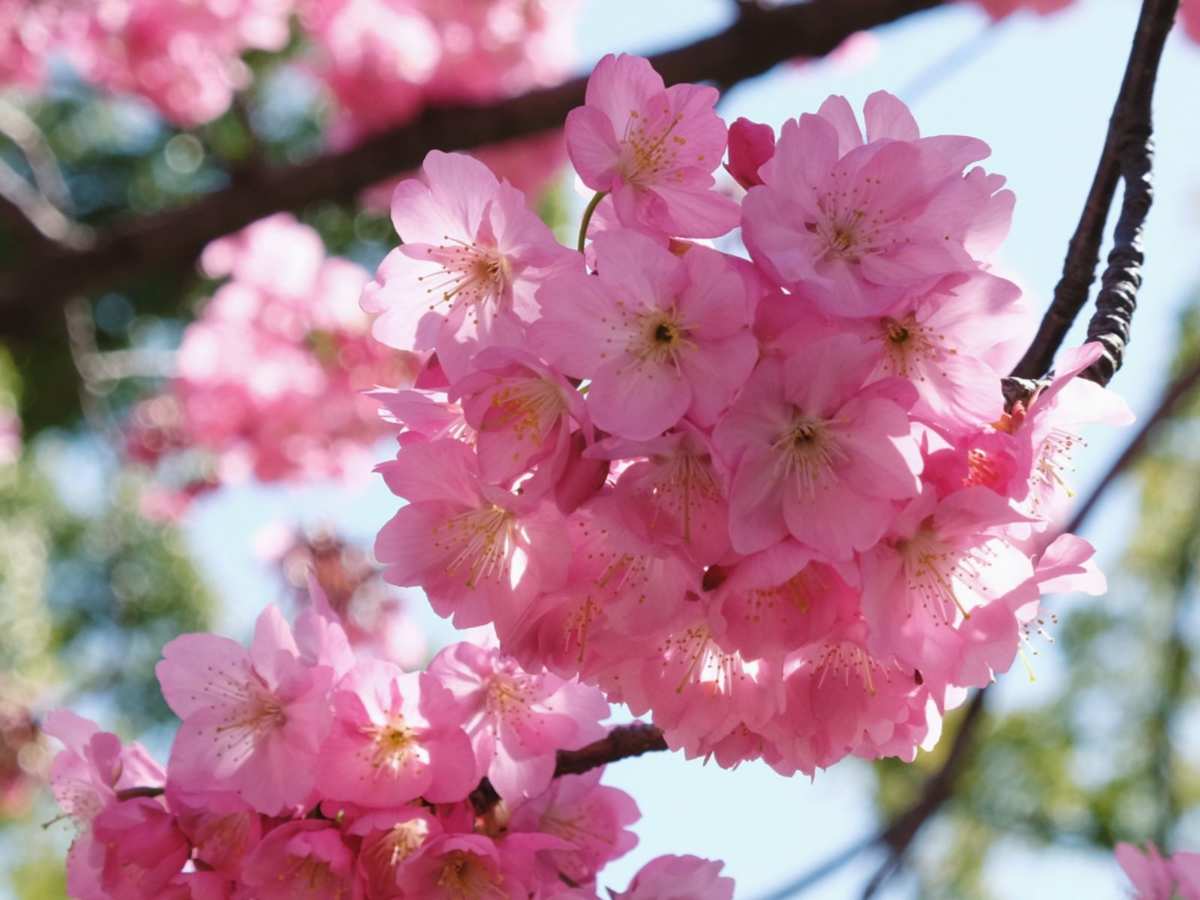 太郎小夏_小太郎_太郎小剧场