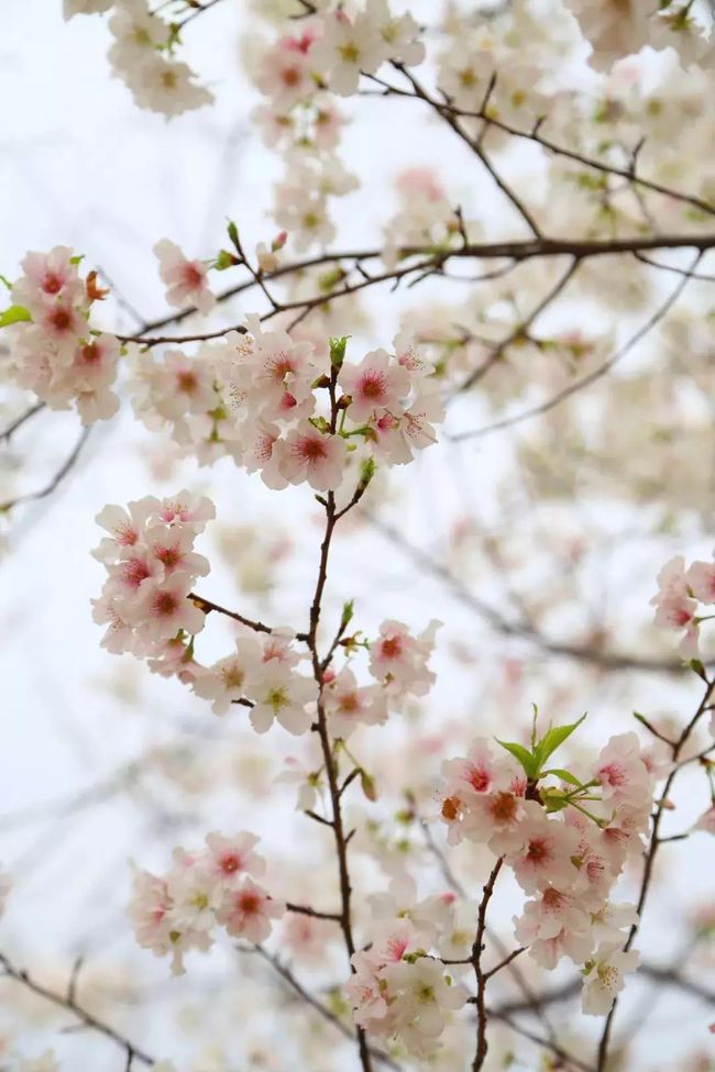 小太郎_太郎小夏_太郎小剧场