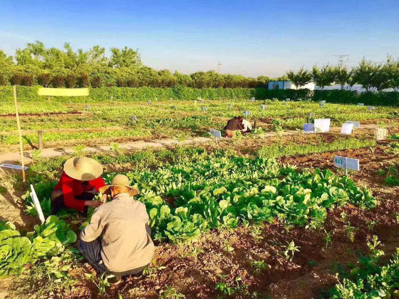 田虎_虎田达荣_征田虎王庆