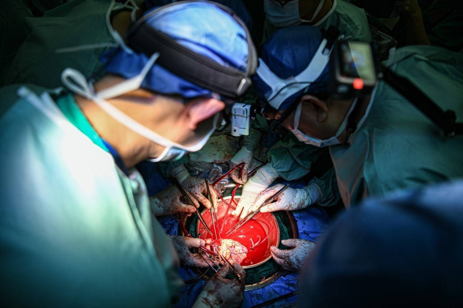 端游移植手机单机游戏_端游移植手机类游戏_端游移植手游的软件下载平台