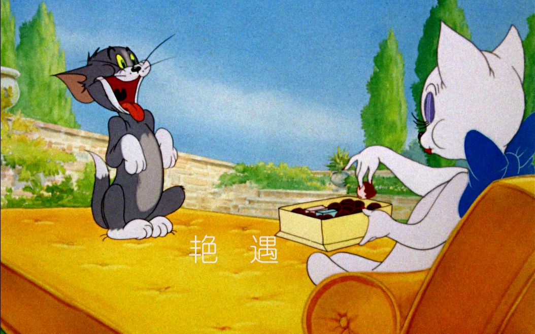 老鼠猫咪和动词_猫和老鼠bilibili_老鼠猫和公鸡寓言故事