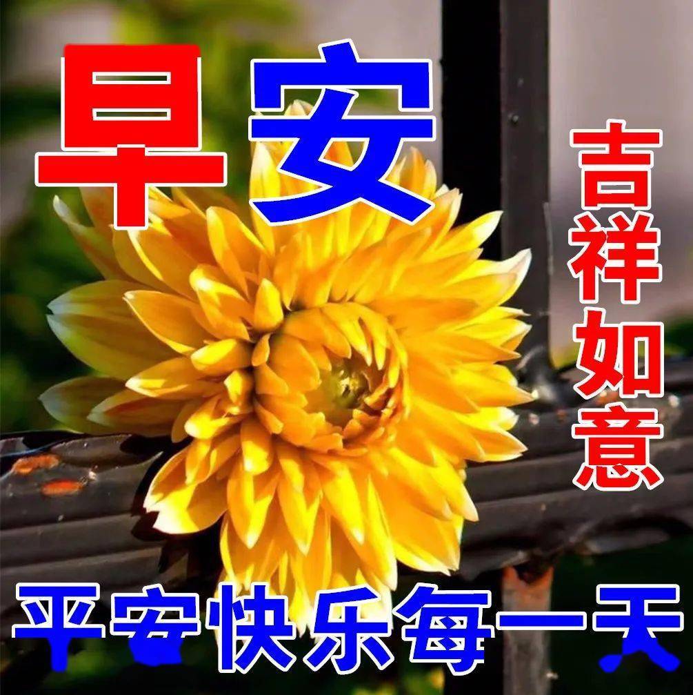 外国生产日期怎么看日月年_2022年4月27日_月年2023年