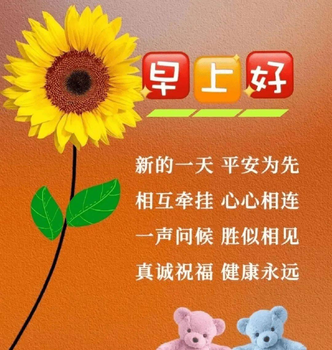佐竹诗织_佐竹由香_佐竹