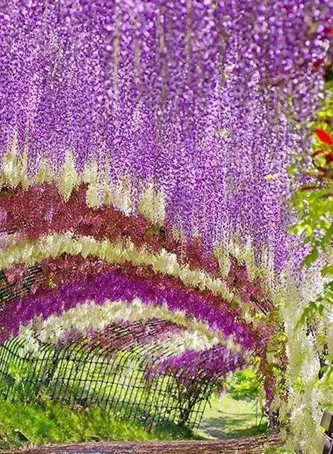 波兰节日表_波兰节日2024_波兰节日