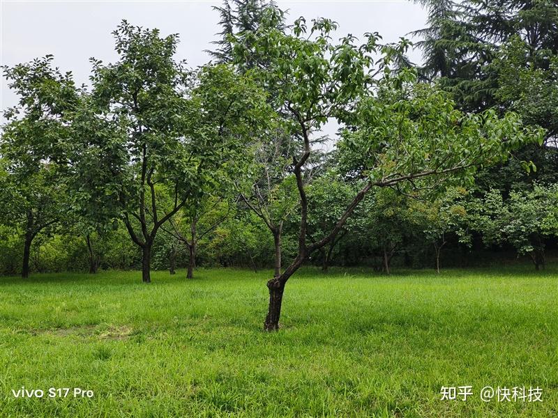 打手机游戏的危害_打手机游戏赚钱犯法吗_8848 手机打游戏