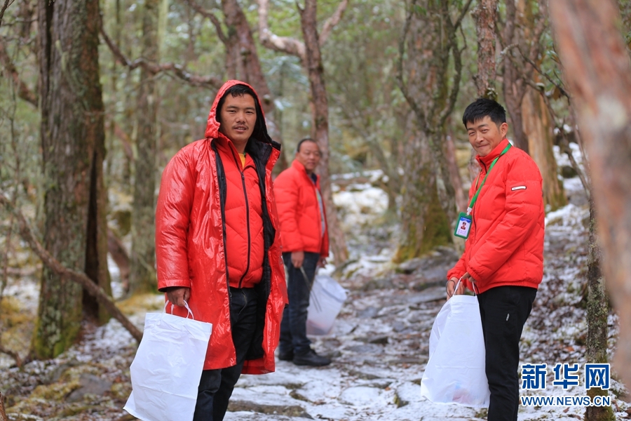 比治山_比治山_比治山