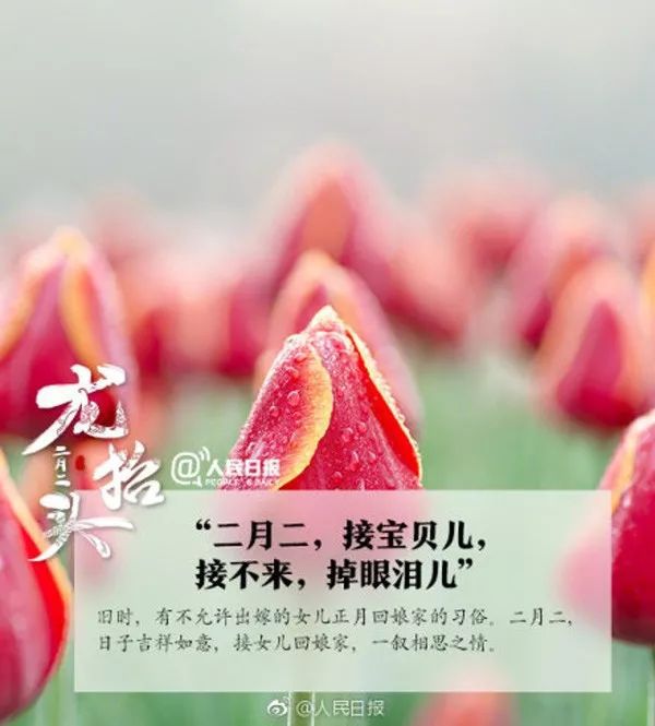 二月初龙抬头_闰二月二是龙抬头吗_二月龙抬头打一个数字是几呀