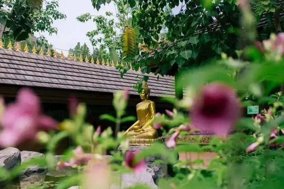 白雪王子游戏攻略_白雪王子游戏结局_白雪王子手机游戏下载