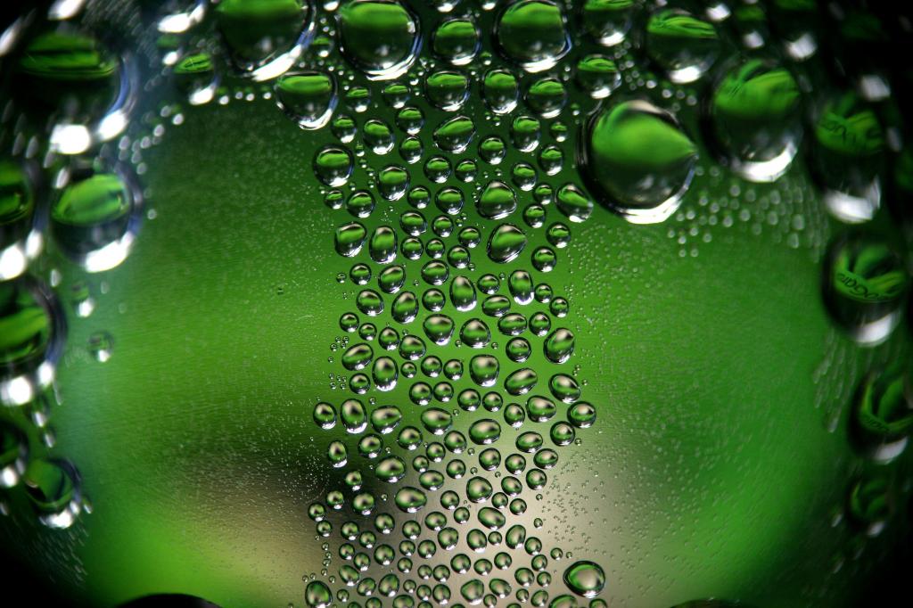 白雪王子游戏攻略_白雪王子手机游戏下载_白雪王子游戏结局