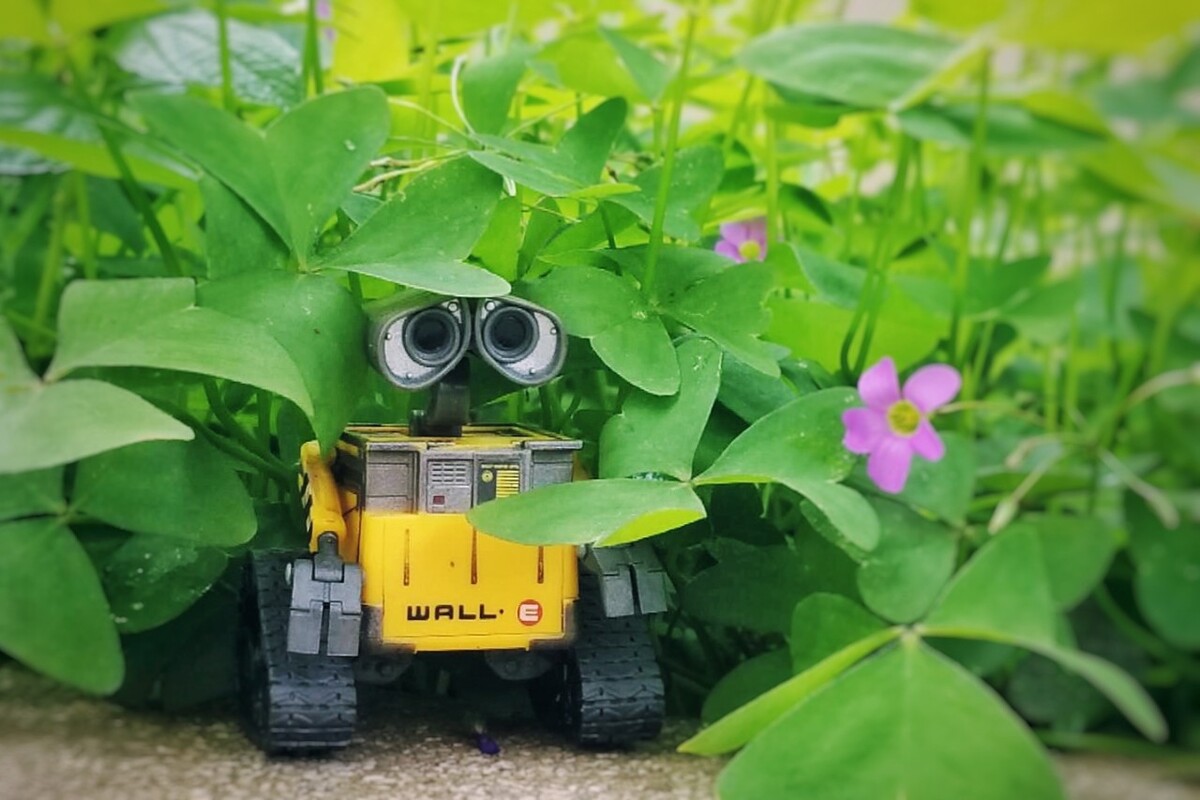 机器人瓦力国语_机器人瓦力原型_机器人瓦力国语