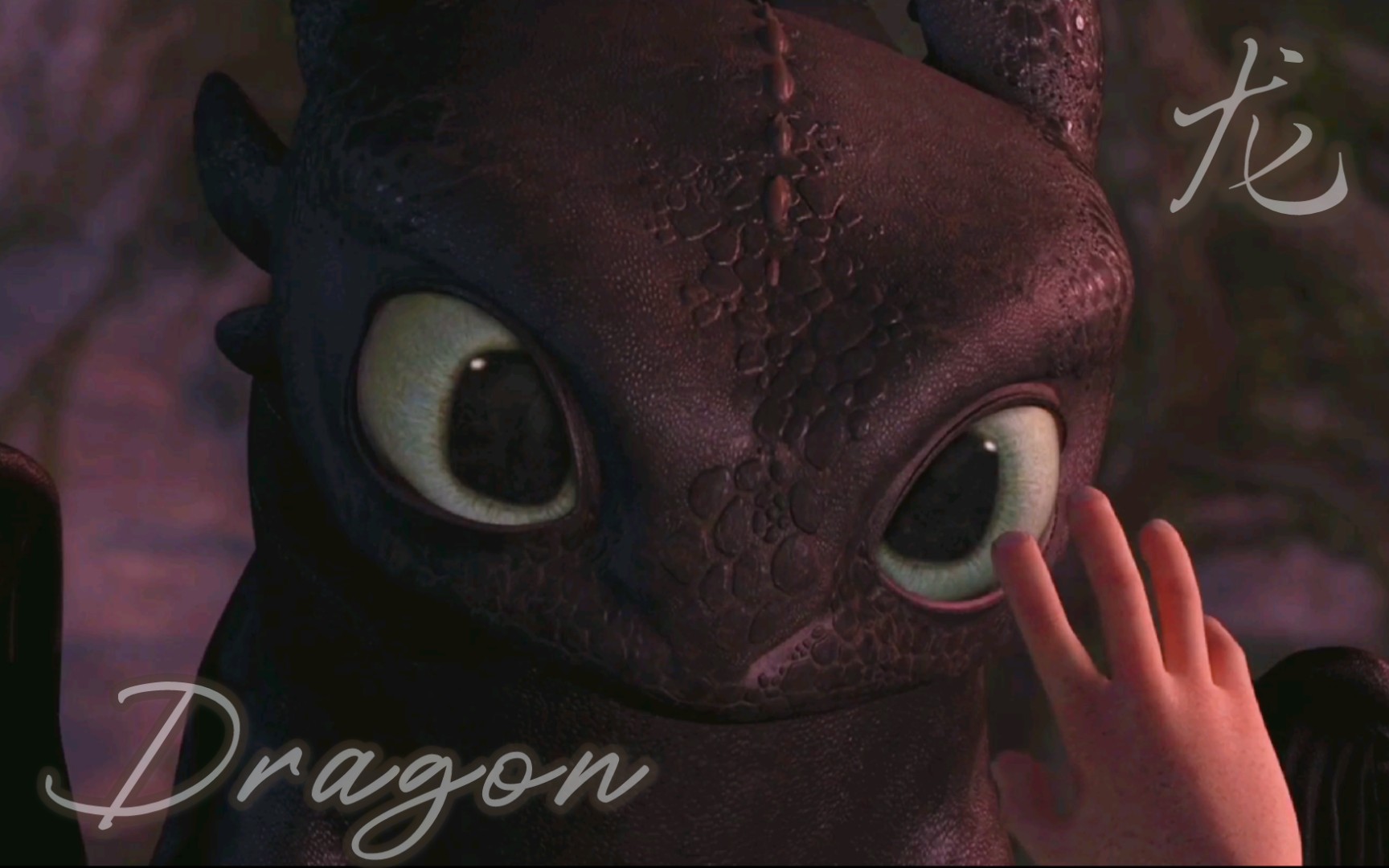 驯龙宝典动画片_驯龙宝典_wow驯龙宝典