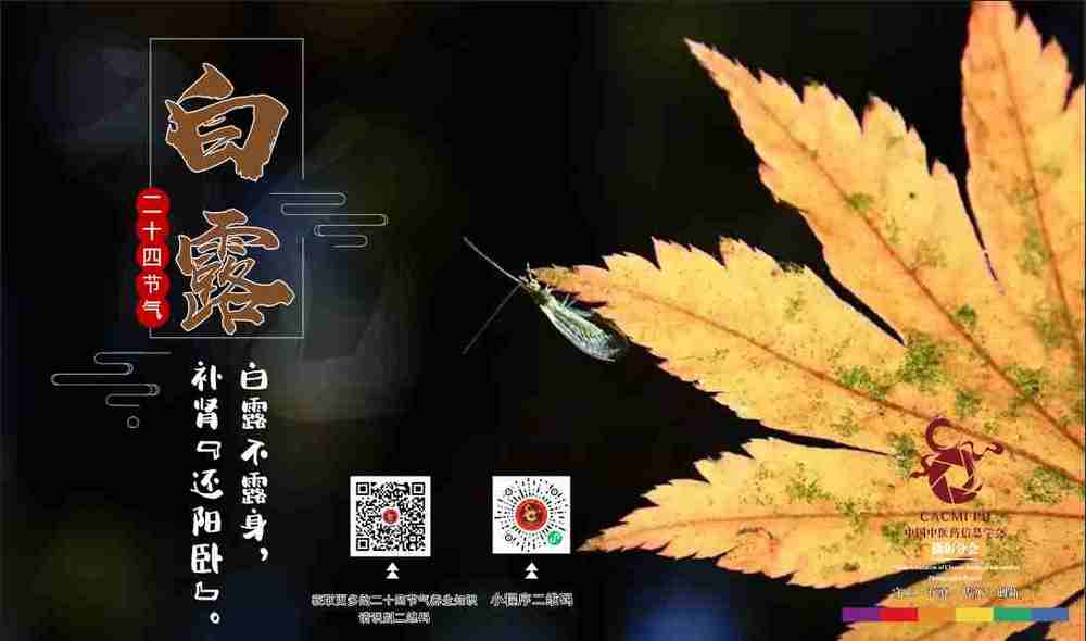 白露是几月几日_白露是月头_白露月是故乡明