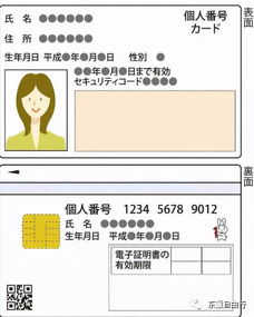 搜番号