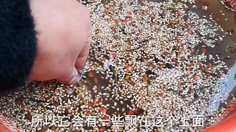 螺旋圆舞曲2蔷薇战争官网版 