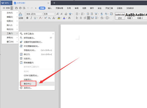 wpsoffice 