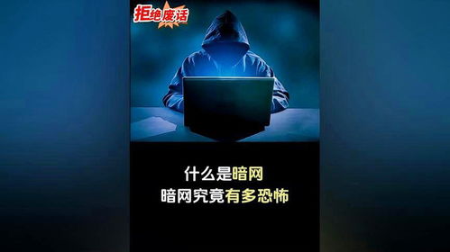 暗网TV正版下载 