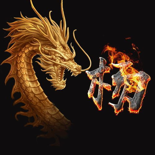 烈焰龙城 