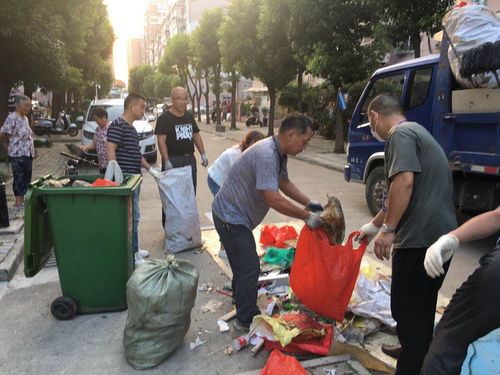 走步清理宝app垃圾清理工具 