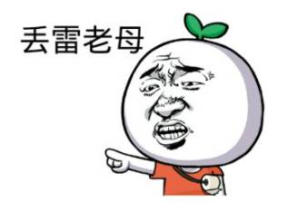 丢雷老母
