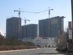 第五大发明手机 