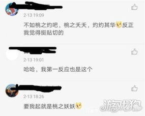 桃字游戏名,探寻古代智慧与策略的传奇游戏之旅