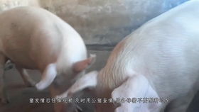 我要如何说再见