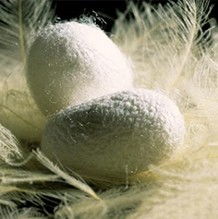 中国蚕丝制品交易平台