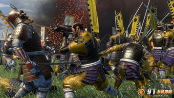 幕府将军的头骨