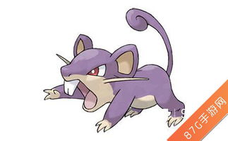 小拉出行司机端app最新版