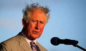 终远的威尔修汉化下载 