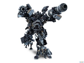 口袋妖怪心金最新版 