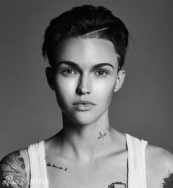 战争围城贝洛斯之战 